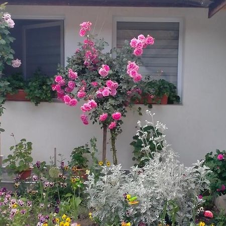 Casa Luminita Villa Ieşelniţa Екстериор снимка