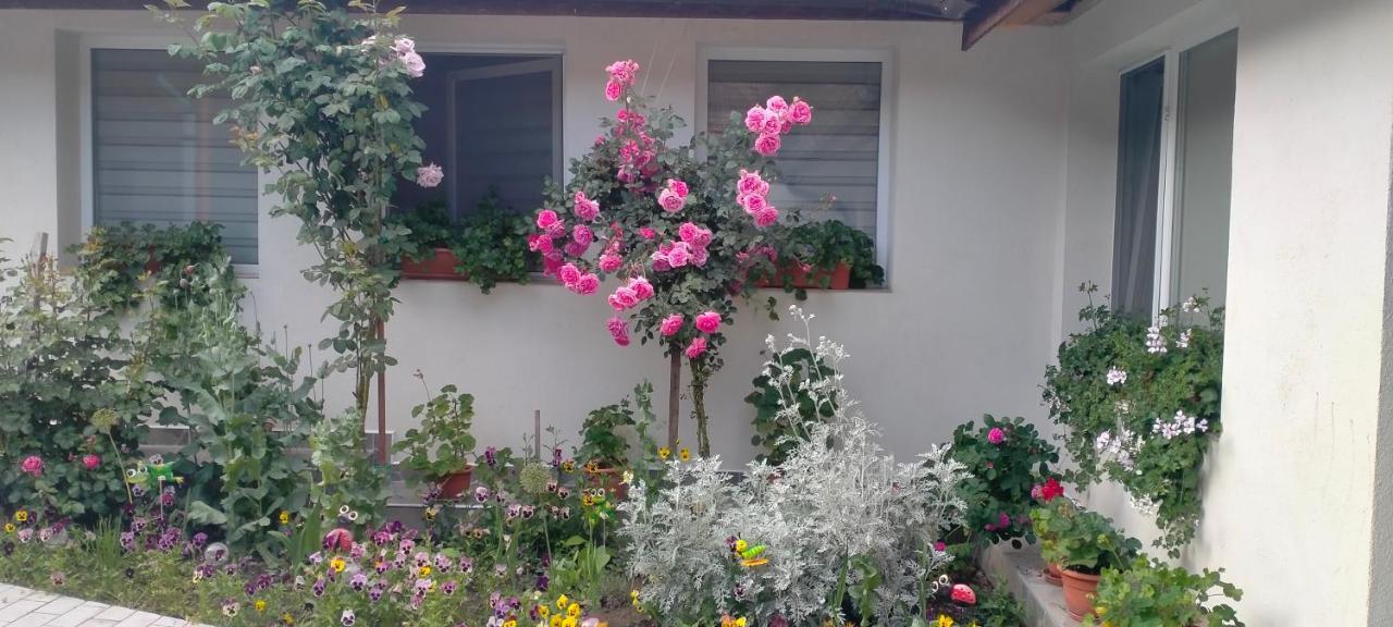 Casa Luminita Villa Ieşelniţa Екстериор снимка